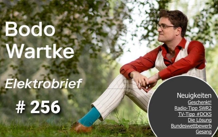 Index - Elektrobrief von Bodo Wartke (Nr. 256).jpg